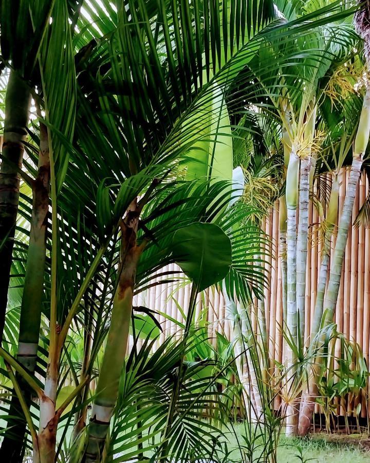 Manusia Dunia Green Lodge Gili Air Eksteriør billede